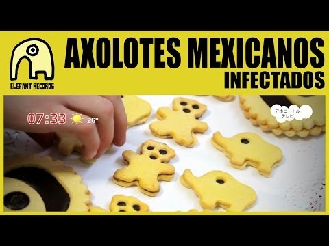 Imagen de previsualización de YouTube