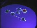 team of digital luthiers: reactable multi user instrument