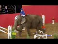 Carlton Dry: Showjumping ad
