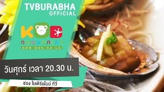 กบนอกกะลา กบนอกกะลา