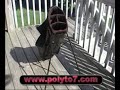 NIKE GOLF BAG FOR SALE eBay seller polyto7 DOTcom NIKE GOLF BAG FOR SALE eBay seller polyto7 DOTcom