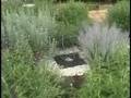 Perelandra Virtual Garden Tour (B: Center of the Garden)