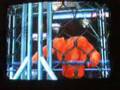 masked assasin vs batista svr 09 wii