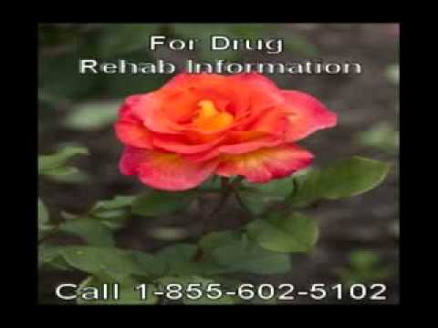 Number for a Free Drug And Alcohol Rehab Close by Romeoville