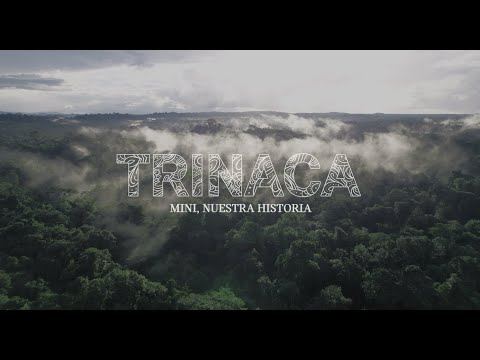 Trinaca: Mini, Nuestra Historia