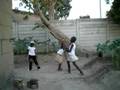 children in chitungwiza