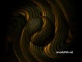 sweatyfish-Moon Rising-ECHOES SPARKED