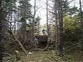 my bike jumps my bike jumps