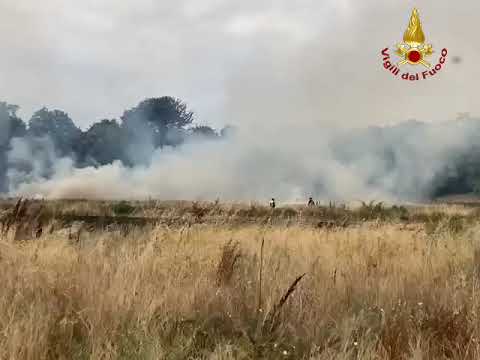 Incendio nei campi a Pistoia