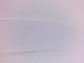 Trailer (1)