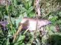 I uploaded a YouTube video -- Рыба.avi http://youtu.be/3X_c_DOR5d0?a