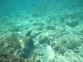 Saigon Sam Part 43: Snorkeling at Kon Kare Bay, Koh Racha Yai, Phuket, Thailand Part 1/6