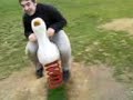 Quack MotoGP Monza Circuit
