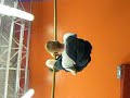 james pull ups