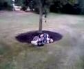 Dumbass Gets Shot By Paintball Gun