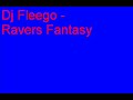 Dj Fleego - Ravers Fantasy