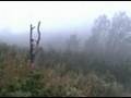 SOTA -   S5/BR-001