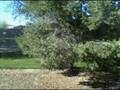 My GM's House