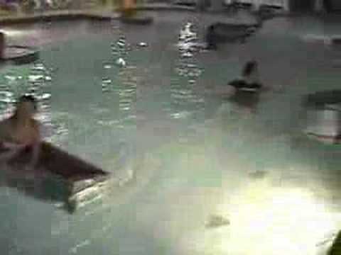 Cardboard Box Boat Races