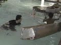 Cardboard Box Boat Races