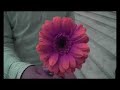 clip de l'air de rien de benjamin et l'orchestre invisible