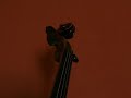 Violin - skrzypce