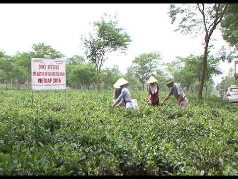 Giải pháp để nông sản thực phẩm an toàn tới người dân Thủ đô 