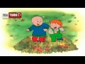 Caillou Türkce - Caillou Yapraklari süpürüyor