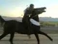 الخيل في نجران