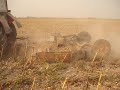Mtz82.1+rz3 Napraforgó szárzúzás