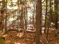 Nature Walk (15th Oct. 2008) 15