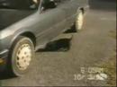 AFV - Funny Puppy AFV - Funny Puppy