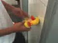 Assédio sexual a senhora Quack
