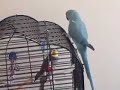 Hoogie & Spike - Episode 1 Hoogie & Spike - Episode 1