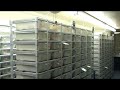 Ball Python Breeding footage - 01/26/08 part 1