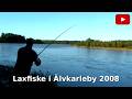 Fiske i Älvkarleby