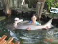 kiwi fishing bangkok fishing thailand giant mekong catfish