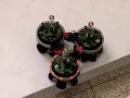 Swarm-Bots