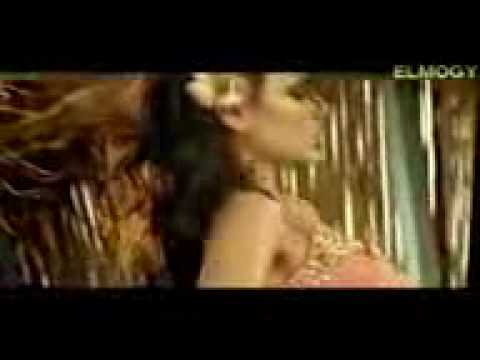Haifa Wehbe Rageb