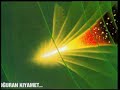 miracles of islam