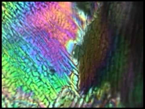 how to get vitamin c crystals to dissolve