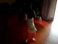 bailando el ula ula