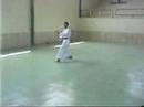 Kushan Kushu sensei Behnia 6. Dan