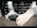 title="Pets
