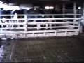 videos de Vertical Hydraulic Crowd Gate