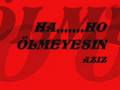antep barak aziz tok