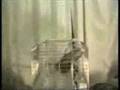 Vive les chat et les conneries