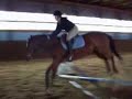 gold rush aka sniffer jumping
