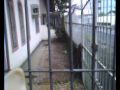 Vid0007