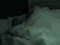 Nick and Daniele (at it again)2